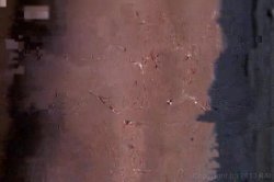 'Naked Diva' screenshot nº 58