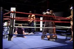 'American Cocksucking Championship 3' screenshot nº 34