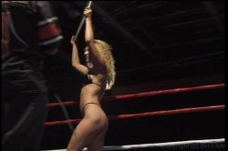 'American Cocksucking Championship 3' screenshot nº 132