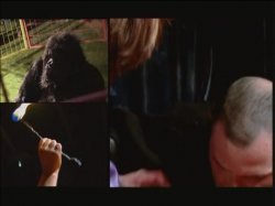Captura de 'Sex Circus Extreme' nº 63
