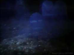 Captura de 'Seka's Heavenly Desire: The Lost Movie' nº 26