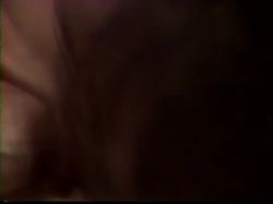 Captura de 'Wild Weekend' nº 45