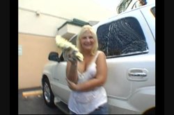 'BBWs Gone Black 11' screenshot nº 12