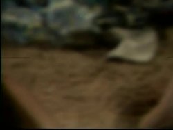 Captura de 'With Love From Ginger' nº 104
