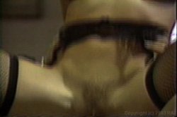 'Doctor Ginger is 