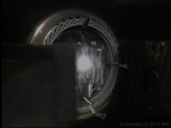 'Dark Garden' screenshot nº 36