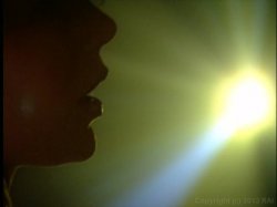 'Dark Garden' screenshot nº 6