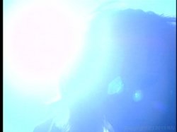 'Dark Garden' screenshot nº 66