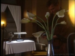 'Dark Garden' screenshot nº 9