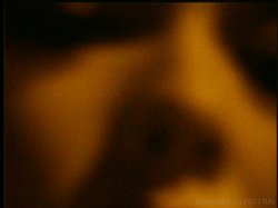 'Dark Garden' screenshot nº 126