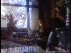 'Dark Garden' screenshot nº 14