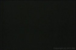 'Hot Slut Orgies' screenshot nº 62