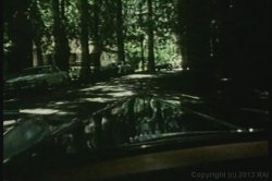 'Hot Slut Orgies' screenshot nº 8