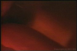 'Hot Slut Orgies' screenshot nº 109