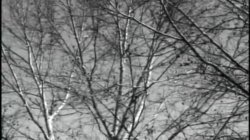 'Freshman Fantasies 19' screenshot nº 68