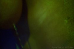 Captura de 'Lesbian Spotlight: Cadence St. John' nº 100