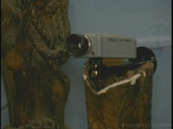 'MILF Makers Incorporated' screenshot nº 45