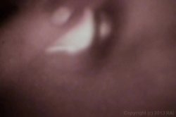 'Wonderful Mammarys' screenshot nº 73