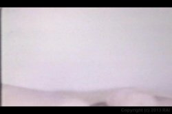 'Wonderful Mammarys' screenshot nº 14