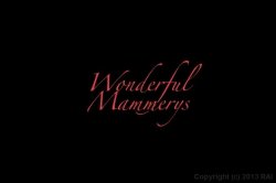 'Wonderful Mammarys' screenshot nº 2