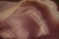 'Wonderful Mammarys' screenshot nº 41