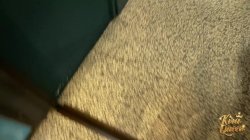 'Kira Queen Sucks Her New Friend's Cock In The Restroom!' screenshot nº 33