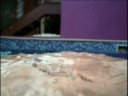 'Wetter The Better 4' screenshot nº 133