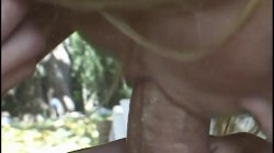 'Blowjob XXX Stars 22' screenshot nº 92