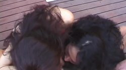 'Blowjob XXX Stars 22' screenshot nº 135