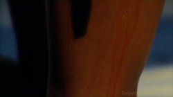 'Red Hot Sex Sampler #9' screenshot nº 41
