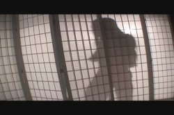 Captura de 'I Love 'Em Anal #2' nº 1