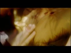 Captura de 'Perfect' nº 114