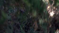 'Black Valley Girls 8' screenshot nº 36