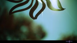 Captura de 'Infection' nº 22
