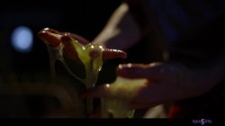 Captura de 'Infection' nº 33