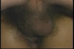 'Coming On America' screenshot nº 51