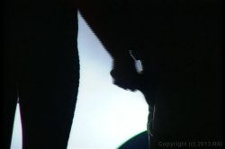 'Curse of the Catwoman' screenshot nº 29