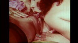 Captura de 'Erotic World Of Seka 505 - Female Love' nº 12