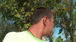 'Moviestars 13' screenshot nº 75