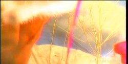 Captura de 'Lusty Busty Dolls 2' nº 42
