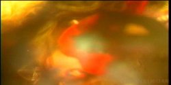 Captura de 'Lusty Busty Dolls 2' nº 76