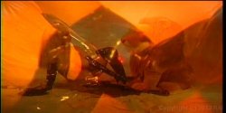 Captura de 'Lusty Busty Dolls 2' nº 127