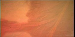 Captura de 'Lusty Busty Dolls 2' nº 25