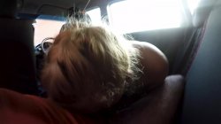'Fake Driving School Volume 7' screenshot nº 122