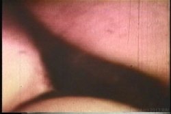 Captura de 'My Teenage Anal Diary' nº 101