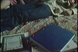 Captura de 'My Teenage Anal Diary' nº 1