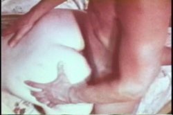 Captura de 'Anal Housewives' nº 68