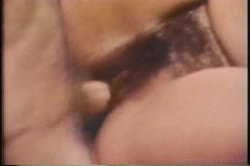 Captura de 'Anal Housewives' nº 105