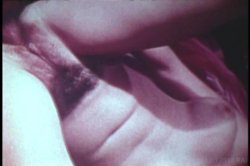 Captura de 'Anal Housewives' nº 112