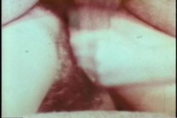 Captura de 'Anal Housewives' nº 20